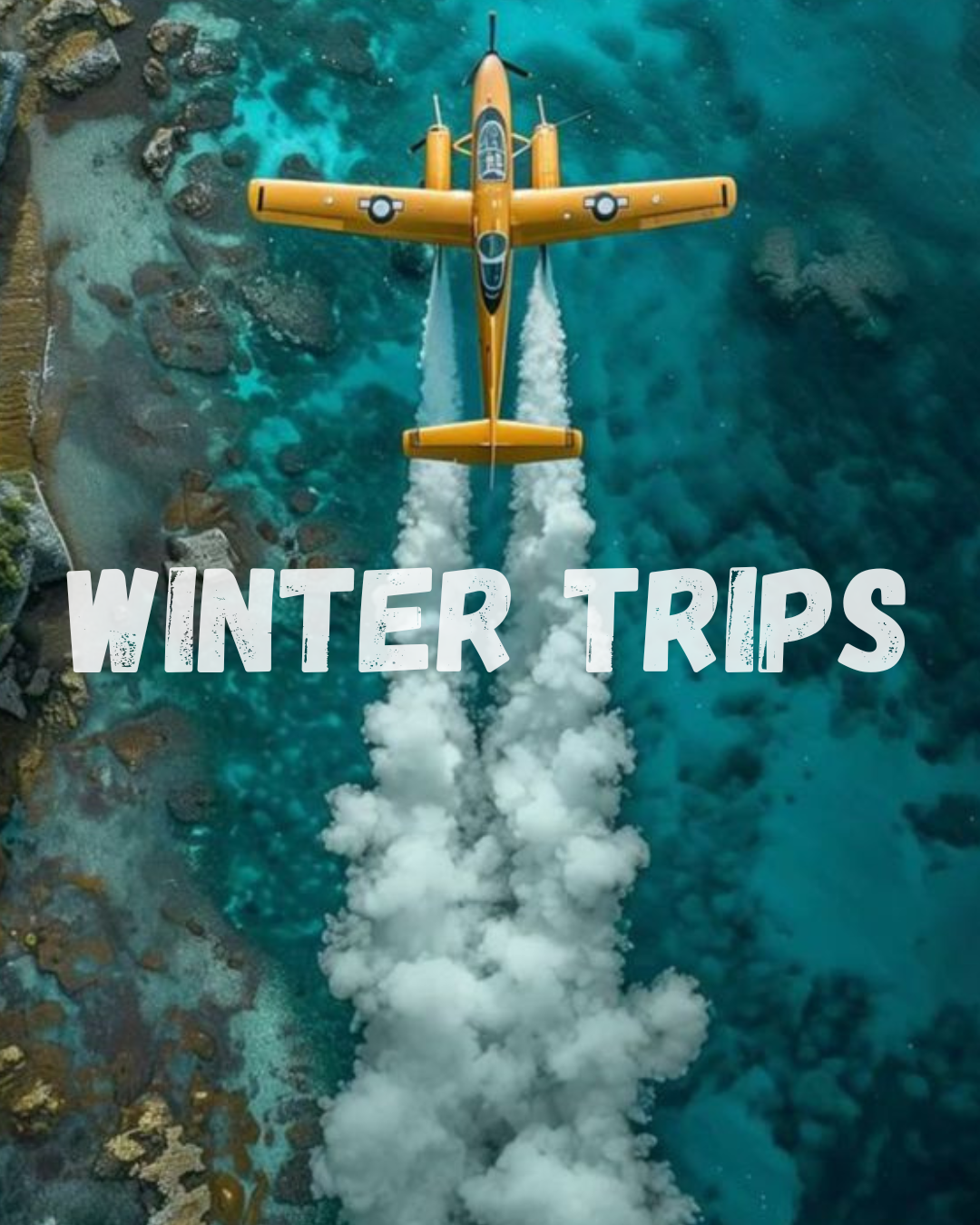 Winter Trips